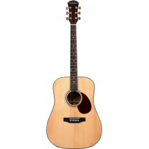 Freshman FA250D