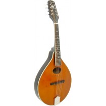 Kentucky KM172 Mandolin