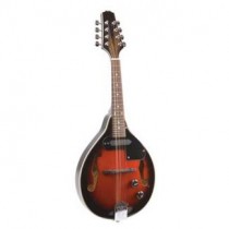 Mandolins