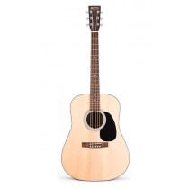 Martin D1GT acoustic guitar