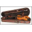 Stentor Standard Violin outfit