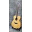 Tanglewood  TPE FL S Acoustic guitar