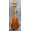 Freshman UKMAHS Soprano Ukulele