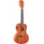 Kai KCI 10 Ukulele