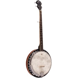 Barnes & Mullins BJ300 5 string banjo