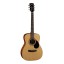 Cort AF510 acoustic guitar