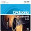 Daddario EJ36 80/20 Bronze 12 string acoustic guitar strings