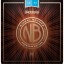 Daddario NB1253 Nickel Bronze acoustic guitar strings