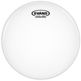 Evans 10" G2 Coated B10G2