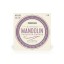 Daddario EJ70 Mandolin Phosphor Bronze set