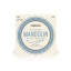 Daddario EJ62 Mandolin 80/20 Bronze Strings