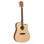 Tanglewood DBTDCEOV Electro Acoustic Guitar