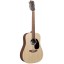 Martin DX2E 12 String Guitar