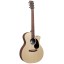 Martin GPCX2E-01 electro acoustic guitar