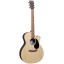 Martin GPCX2E-02 Electro acoustic guitar