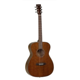 Tanaglewood TW40 OD Acoustic guitar