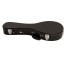 TGI MANDOLIN A-STYLE HARDCASE
