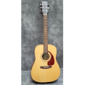 Simon & Patrick SP6 Spruce (Used)