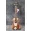 Antonio Carvalho Tenor Ukulele