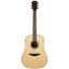Bromo Acoustic Guitar BAA1