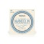 Daddario Mandolin strings EJ73
