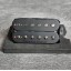 Seymour Duncan Sentient and Pegasus set (Used)