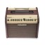 Fishman Loudbox Mini